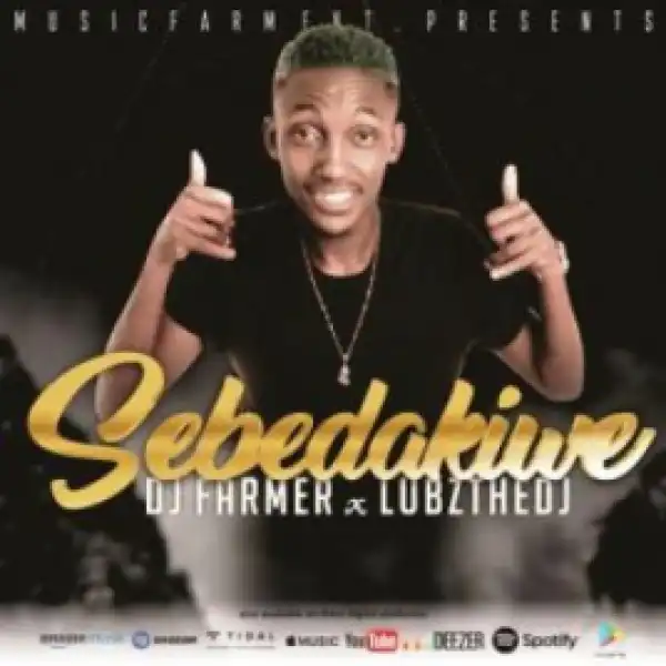 Dj FarmerSA X LubzTheDj - Sebadakiwe